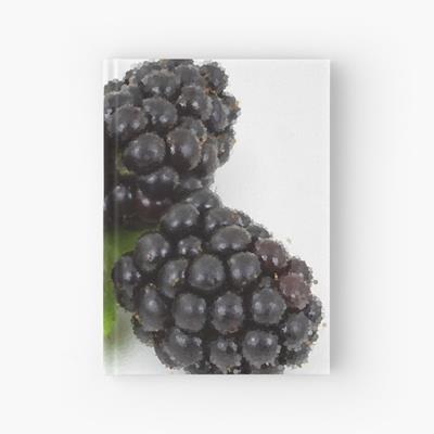 Three Perfect Blackberries
