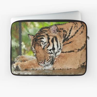 Tiger Grooming Himself