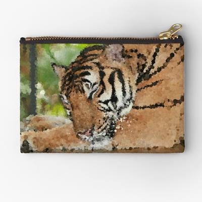 Tiger Grooming Himself