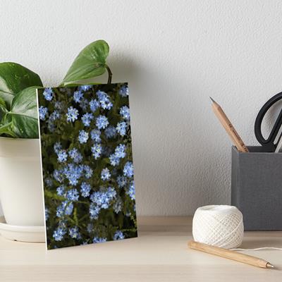 Tiny Blue Wildflowers