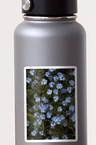 Tiny Blue Wildflowers