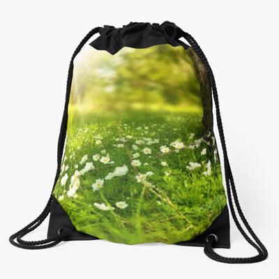 Tiny Little White Flowers