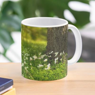 Tiny Little White Flowers