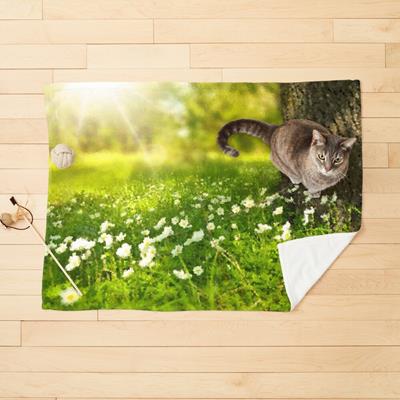 Tiny Little White Flowers