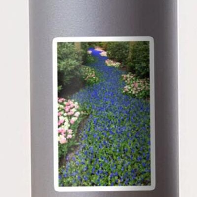Tranquil Flower Path
