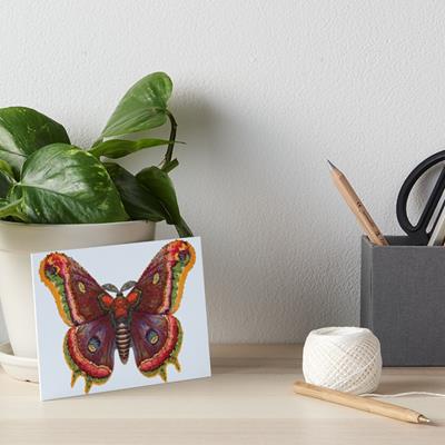Vintage Style Butterfly
