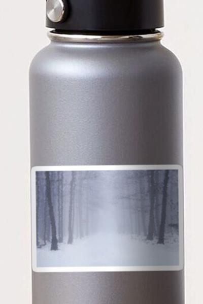 Walk Through Snowy Forest