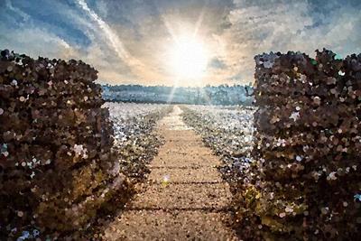 Walking Through Time