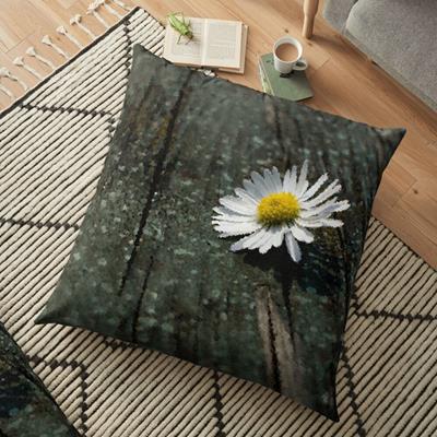 White Daisy on Wood Deck