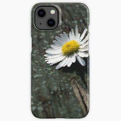 White Daisy on Wood Deck