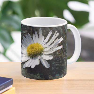 White Daisy on Wood Deck