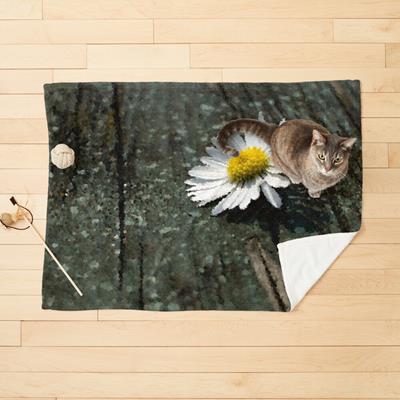 White Daisy on Wood Deck