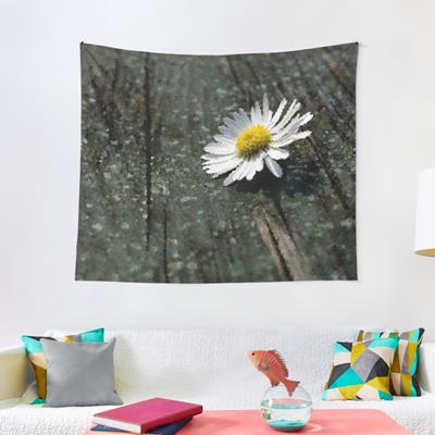 White Daisy on Wood Deck