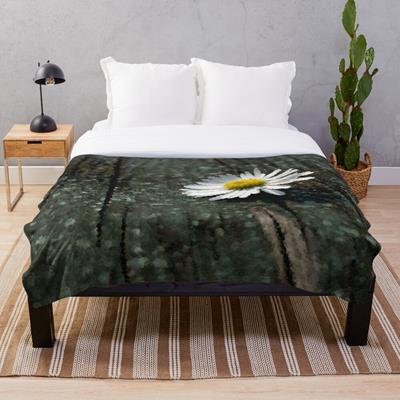 White Daisy on Wood Deck