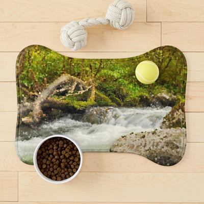 White Water in a Rocky Stream