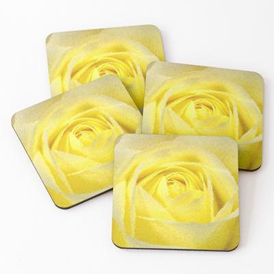 Yellow Rose