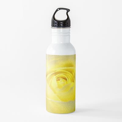 Yellow Rose